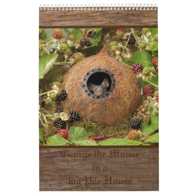 2022 George the mouse in a log pile house calendar (Cover)