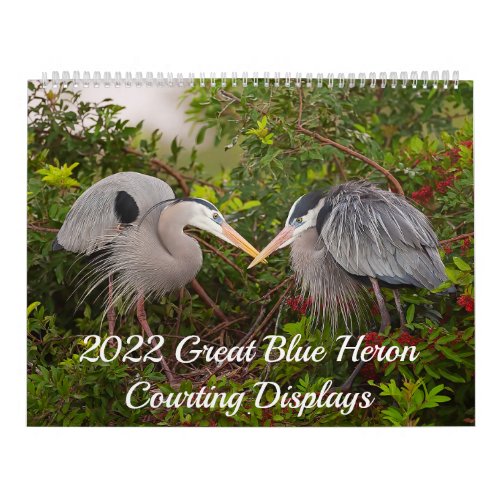 2022 Great Blue Heron Courting Displays Calendar