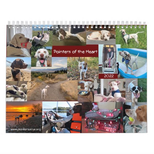 2022 Pointers of the Heart PointerRescue Org Calendar