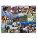 2022 Pointers & Pals PointerRescue Org Calendar 2022 Pointers & Pals PointerRescue Org Calendar