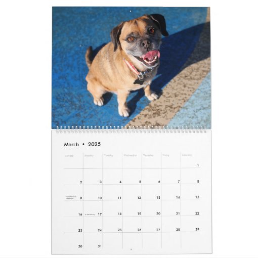 2022 Puggle Calendar Zazzle