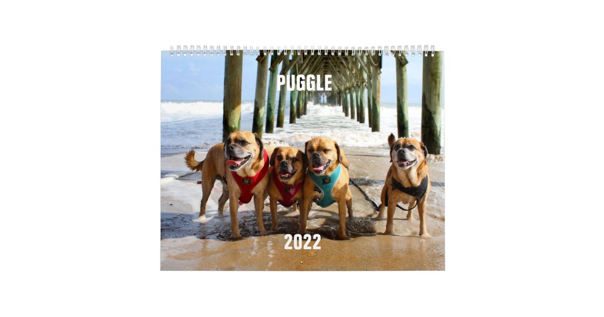 2022 Puggle Calendar Zazzle