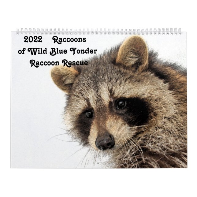 2022 Raccoons of Wild Blue Yonder Raccoon Rescue Calendar (Cover)