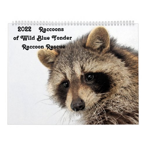 2022 Raccoons of Wild Blue Yonder Raccoon Rescue Calendar