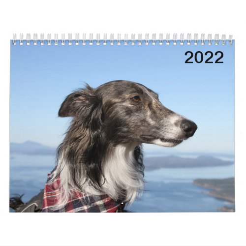 2022 Silken Windhounds Head shots Calendar