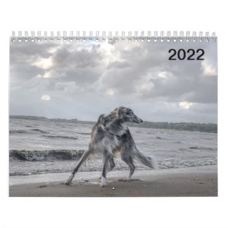 2022 Silken Windhounds (Multiple Dogs & In Action) Calendar