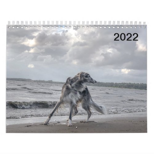 2022 Silken Windhounds Multiple Dogs  In Action Calendar