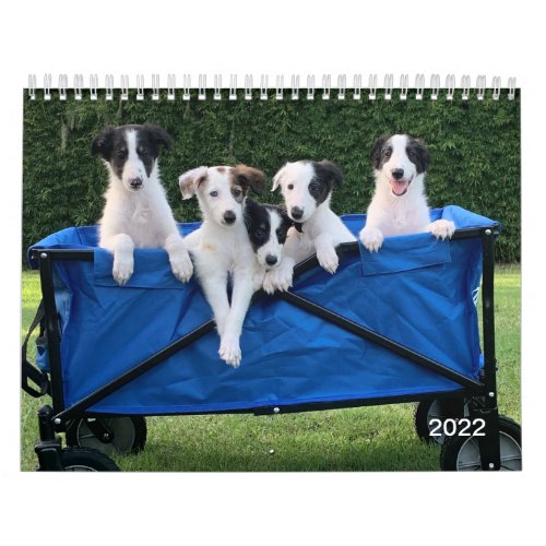2022 Silken Windhounds Puppies Calendar