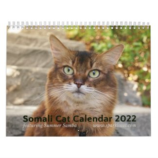 2022 Somali Cat Starring Summer Samba Calendar