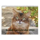 2022 Somali Cat Starring Summer Samba Calendar 2022 Somali Cat Starring Summer Samba Calendar