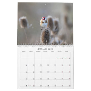 2022 UK Wildlife Calendar