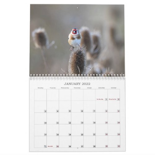 2022 UK Wildlife Calendar