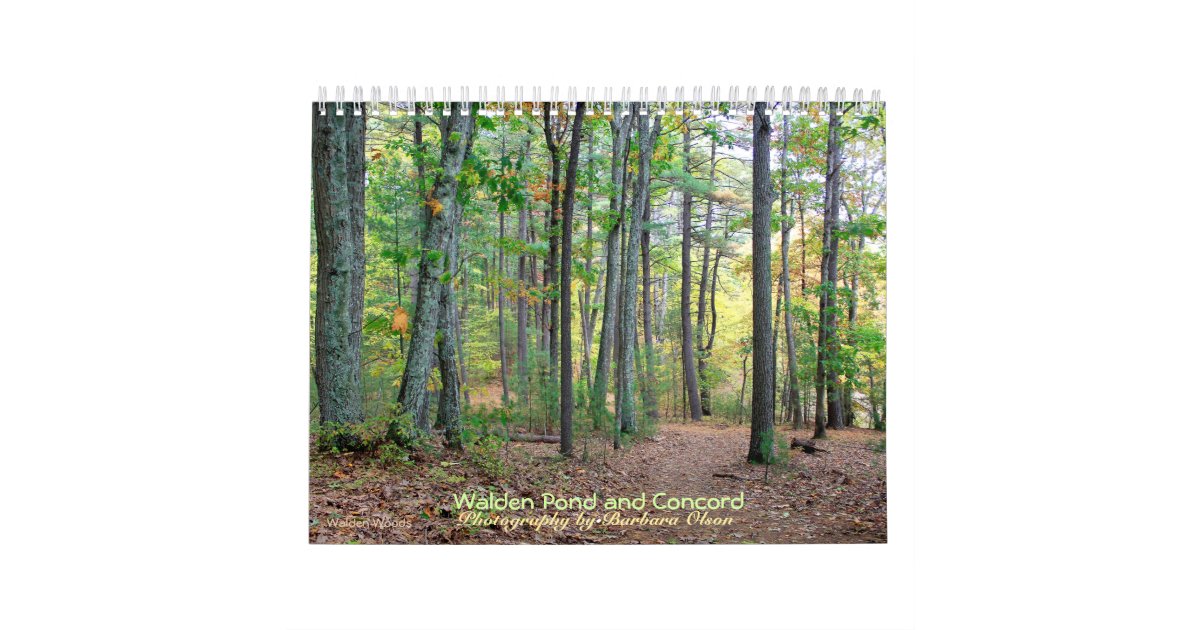 2022 Walden Pond and Concord calendar with quotes Zazzle