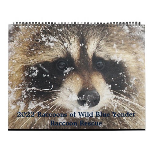2022  Wild Blue Yonder Raccoon Rescue   Calendar