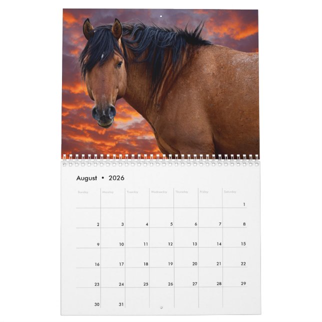 2022 Wild HOrse Calendar (Aug 2026)