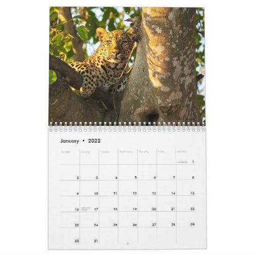 2022 Wildlife Wall Calendar