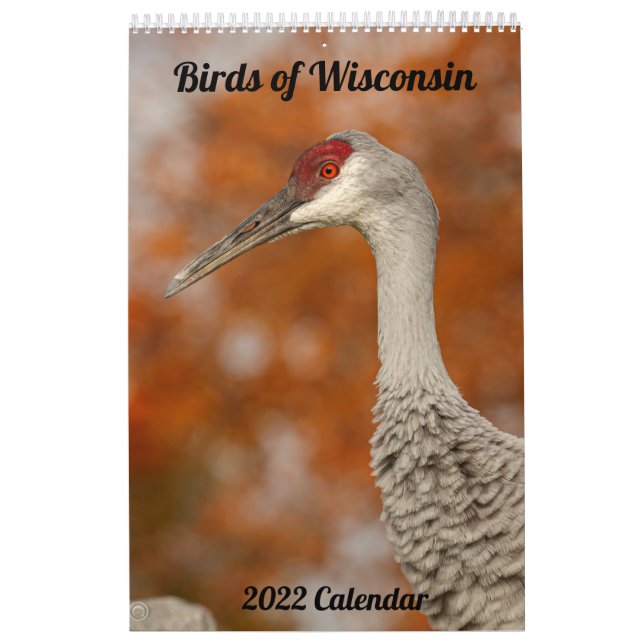 2022 Wisconsin Birds Calendar (Cover)
