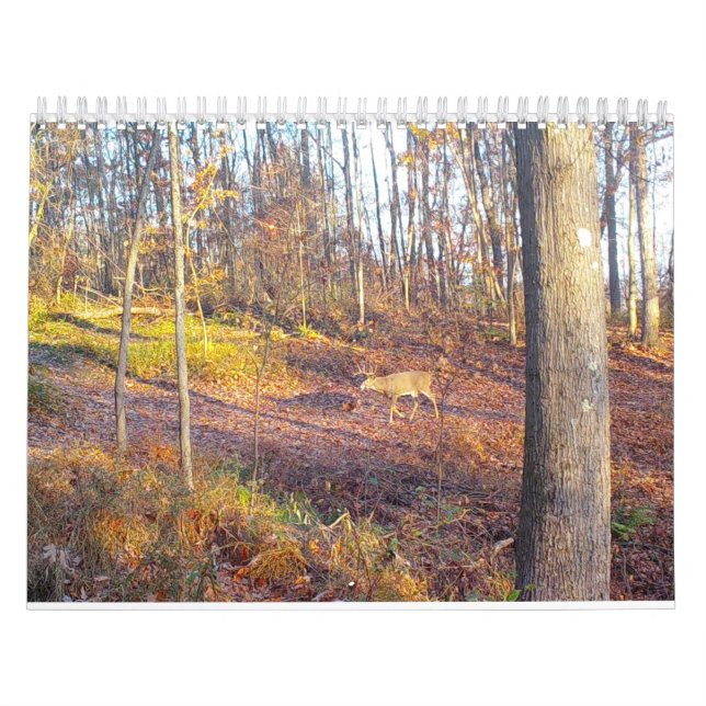 2023 Animals of nature Calendar  (Cover)