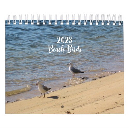 2023 Beach Birds Calendar