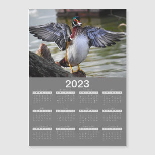 2023 Beautiful Wood Duck Calendar Magnet 