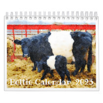 2023 Belted Galloway Beltie Stripe Cow Cattle Calendar