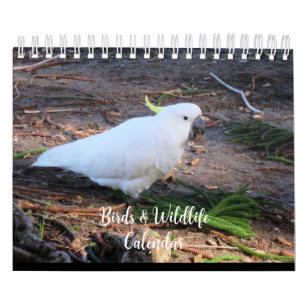 2023 Birds & Wildlife Calendar