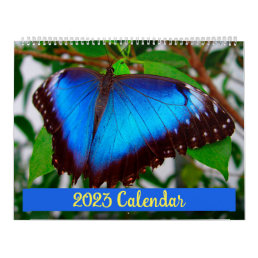 2023 Butterfly Calendar