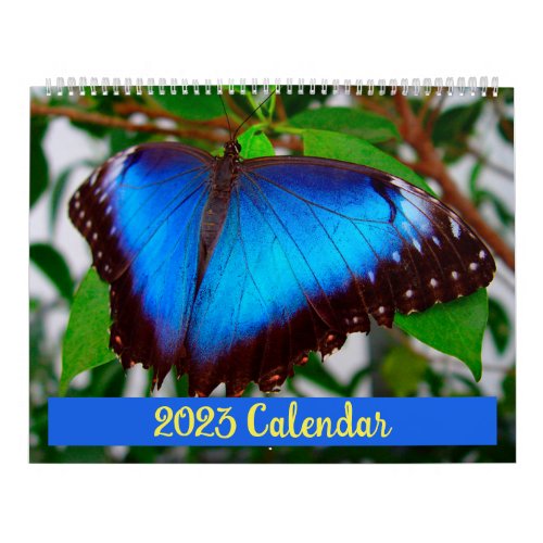 2023 Butterfly Calendar