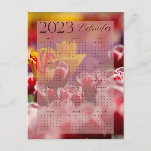 2023 calendar beautiful tulip pattern postcard