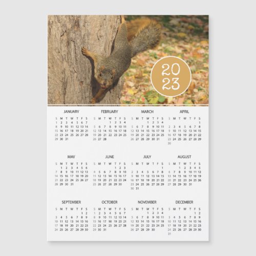 2023 Calendar Cute Squirrel Photo Magnet