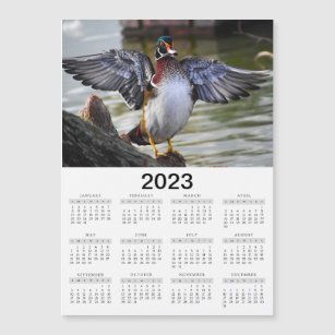 2023 Calendar Magnet Beautiful Wood Duck 