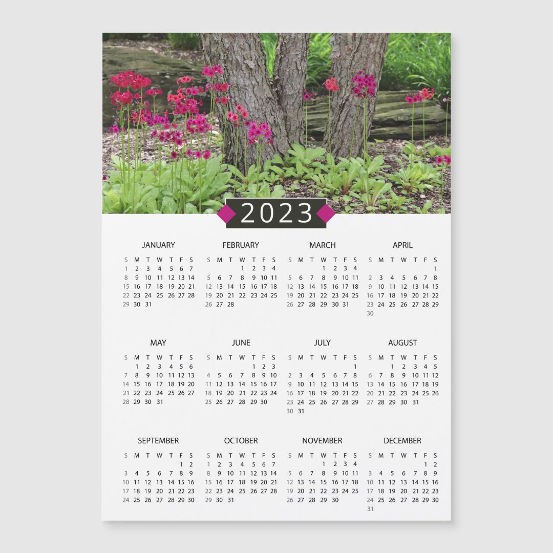 2023 Calendar Pink Primrose Photo Zazzle