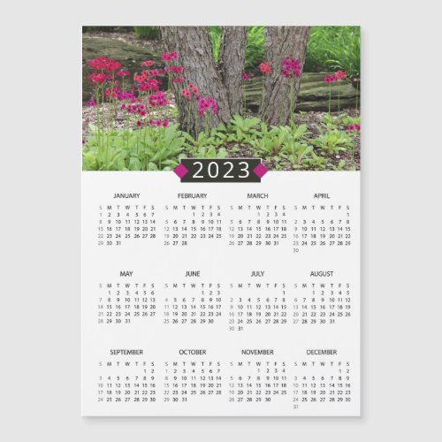 2023 Calendar Pink Primrose Photo Magnet