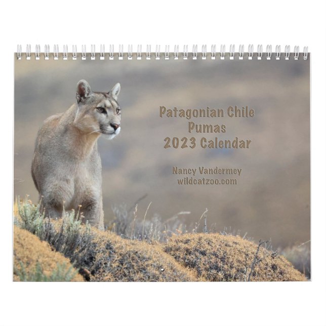 2023 Calendar Pumas of Chile (Cover)