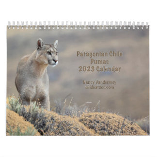 2023 Calendar Pumas of Chile