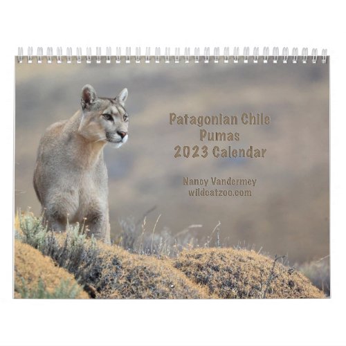 2023 Calendar Pumas of Chile