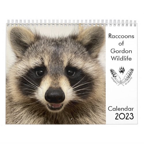 2023 Calendar Raccoons of Gordon Wildlife