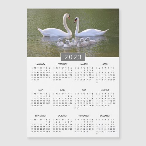 2023 Calendar Swan Family Photo Magnet