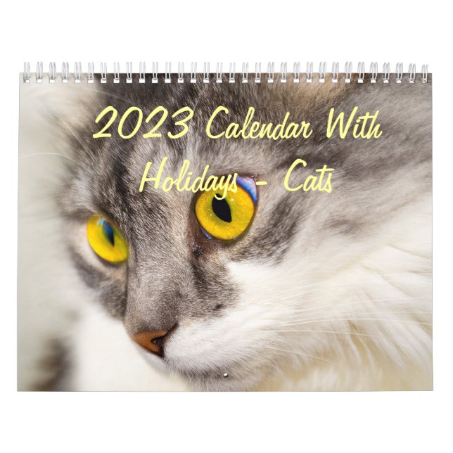 2023 Calendar With Holidays - Cats (Cover)