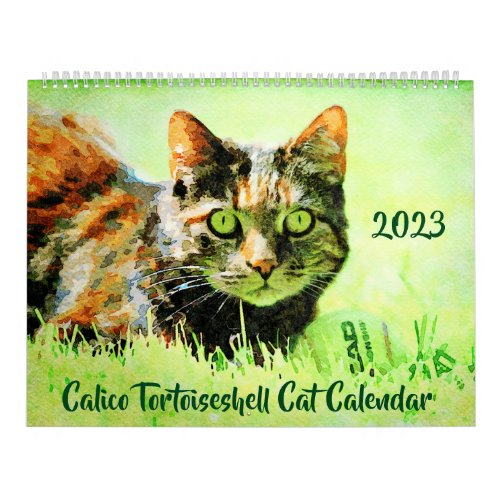 2023 Calico Tortoiseshell Cat Owners Lovers Gift Calendar