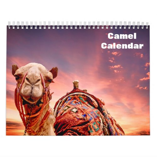 2023 Camel Calendar