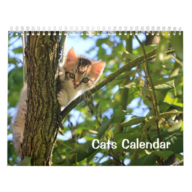 2023 Cat Calendar (Cover)