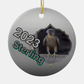 2023 Ceramic Circle Ornament Sterling