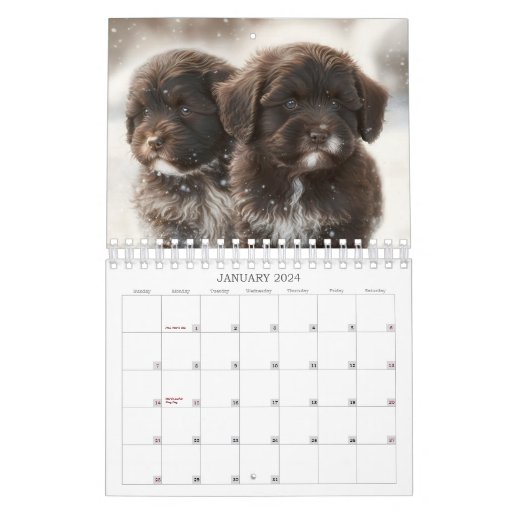 2023 Chocolate Havanese Puppy Calendar by HavaHug Zazzle