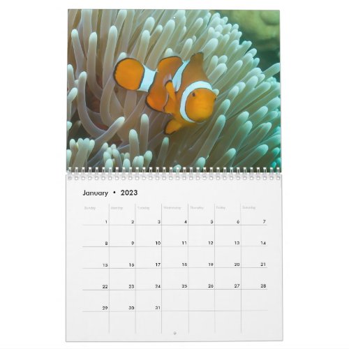 2023 Coral Sea Calendar