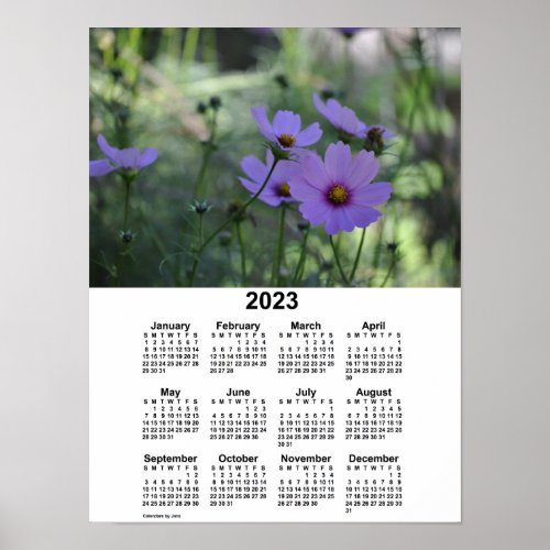 2023 Cosmos Calendar by Janz Poster