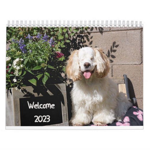 2023 Cute  Adorable Dog Calendar