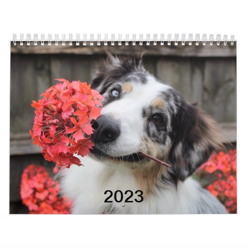 2023 Cute and Adorable Dog Lover photo Calendar