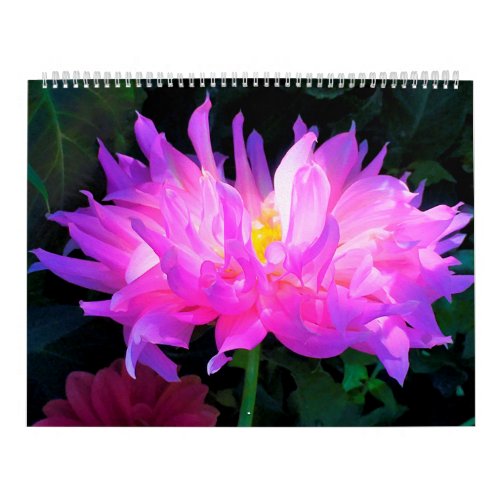 2023 Dahlia Flowers Calendar