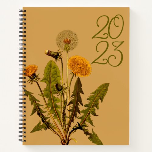 2023 Dandelion Bullet Journal